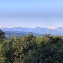 depu8