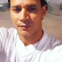 yankee