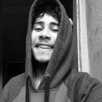 ursinho